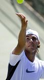 Rafa Training
